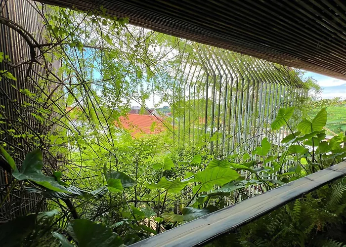 The Hide (adults Only) *